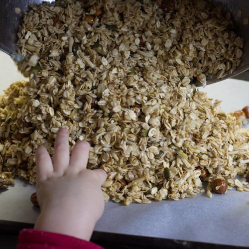 Domáca granola