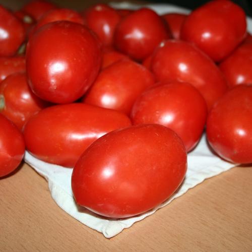 Sušené paradajky 