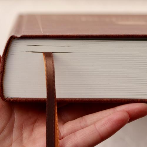 Kucharska kniha Bonvivani